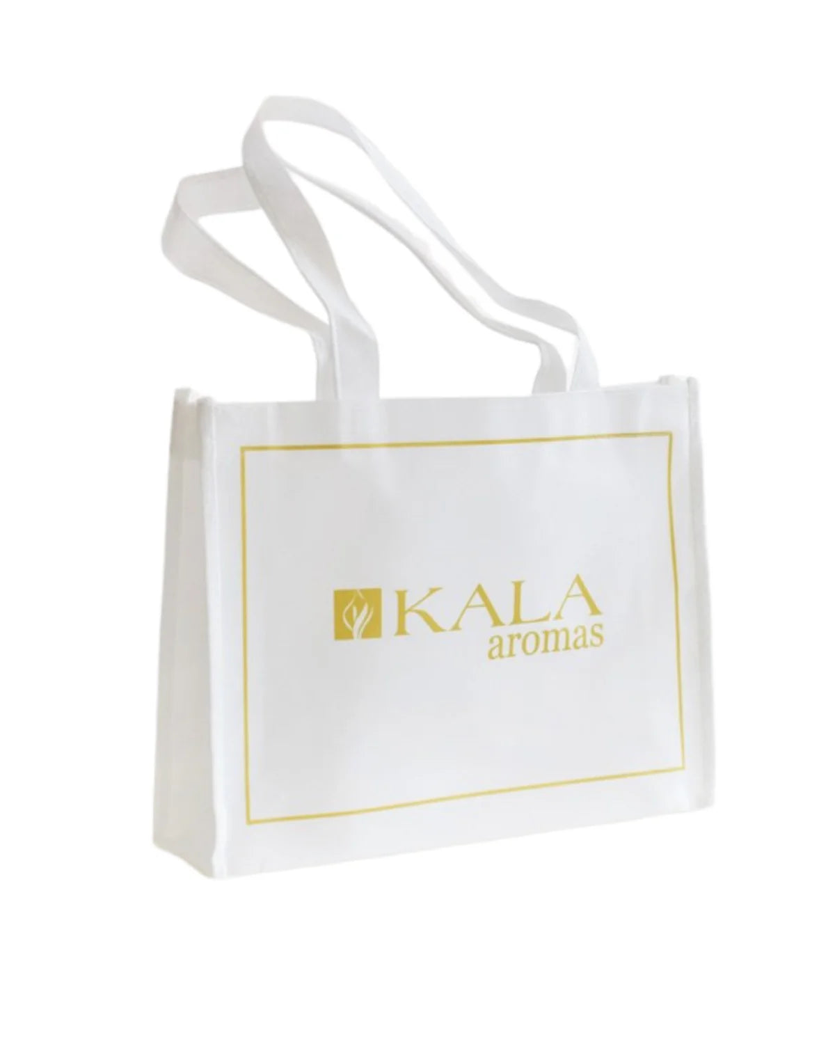 SET DE REGALO CON CANASTO Y BOLSA DE 🎁🎁