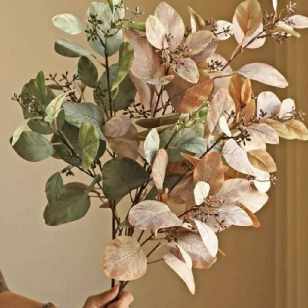 VARA CINEREA VERDE PROXIMAMENTE 25/11