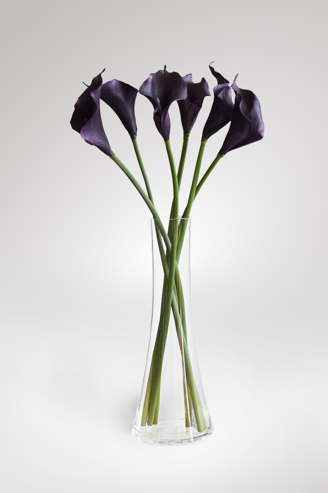 VARA CALA VIOLETA
