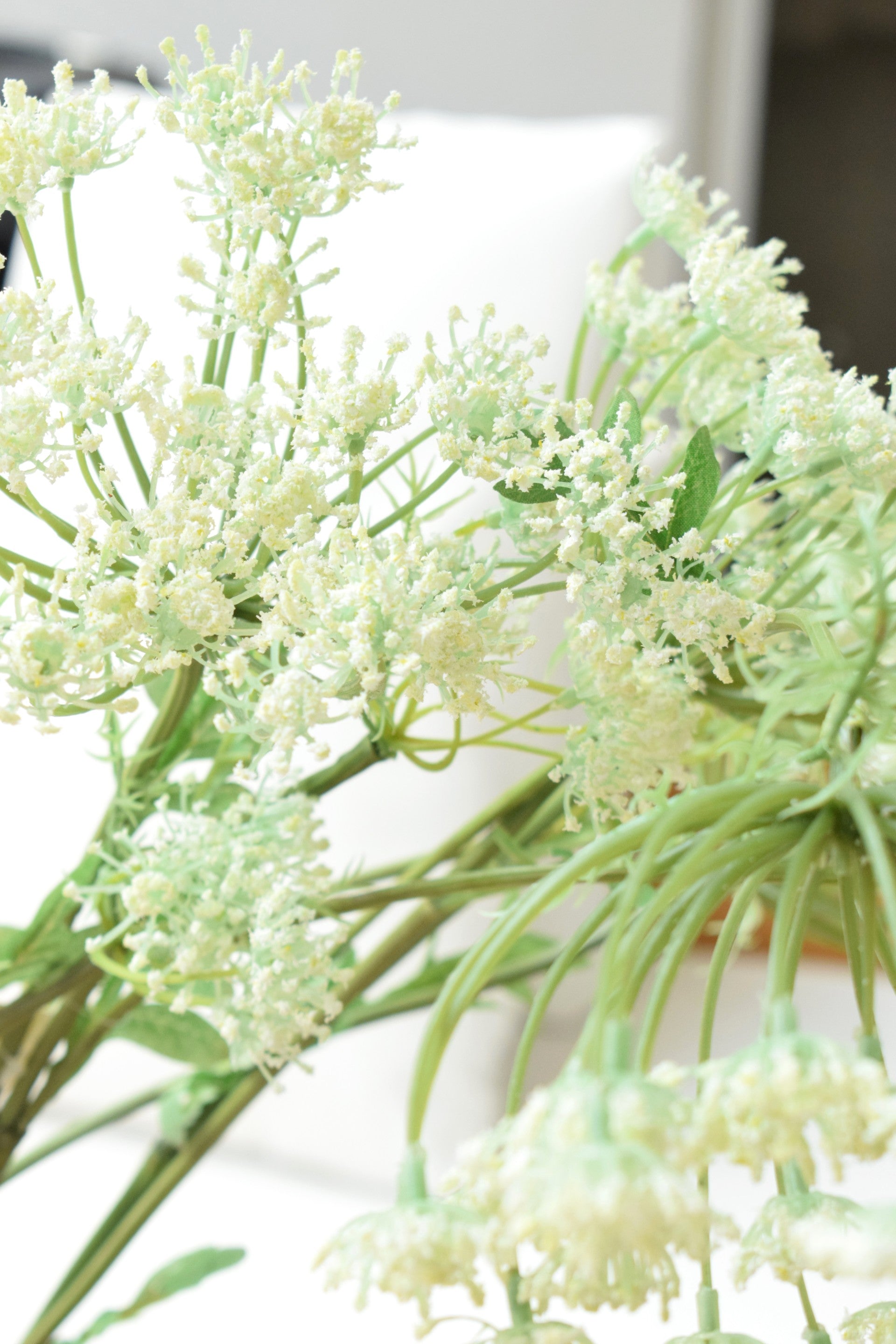 VARA ALLIUM