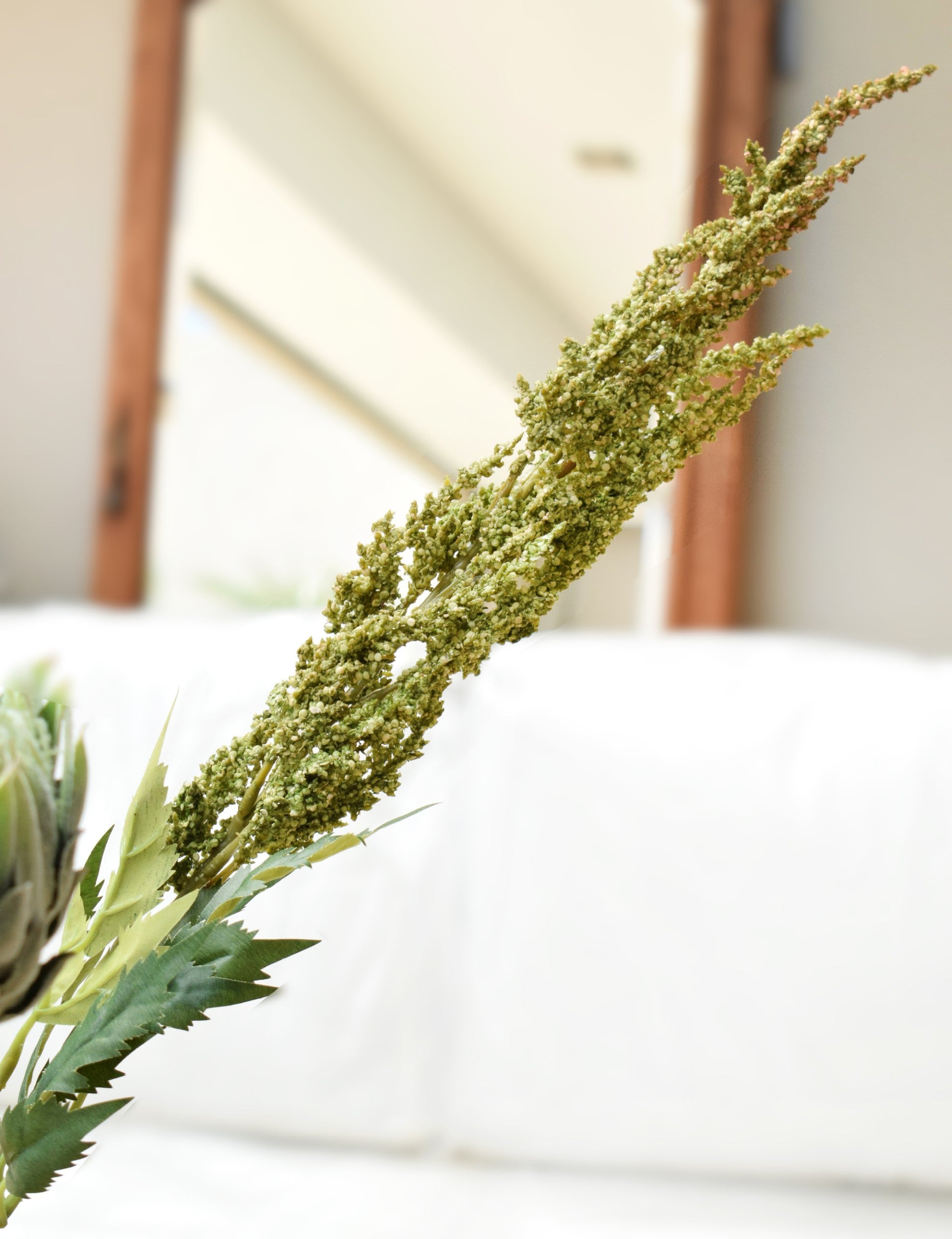 VARA SOLIDAGO